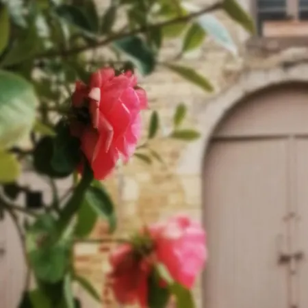 Le Balloir * Thairé