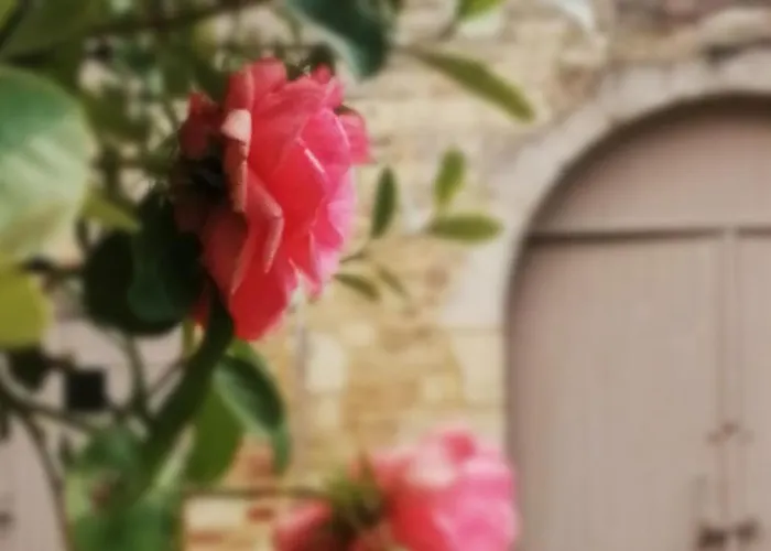 Le Balloir 3* Thairé